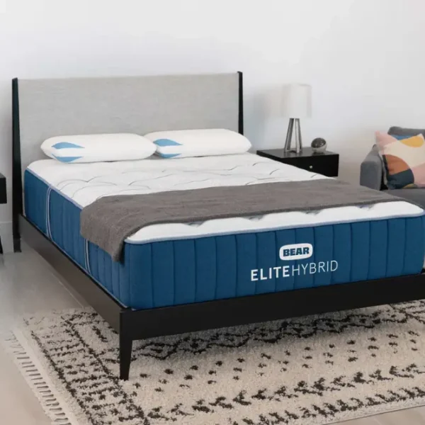 Bear Elite Hybrid